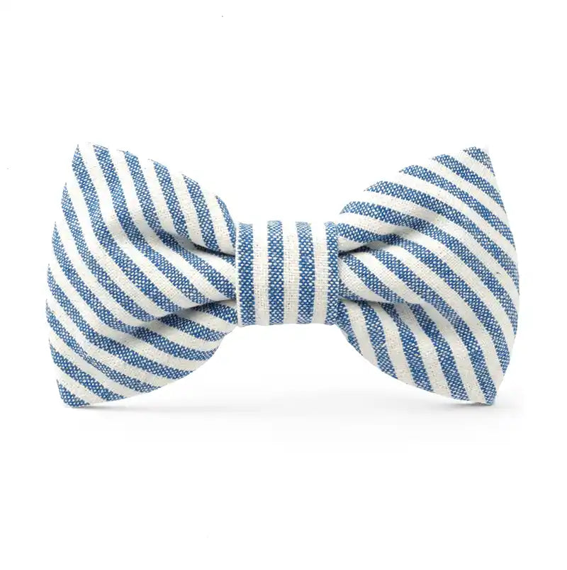 striped blue dog bow tie