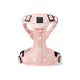 The NoMad Adjustable Luxe Dog Harness