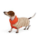 Cashmere Dog Puffer Sweater