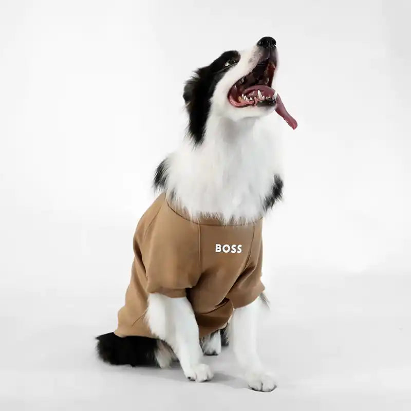 Dog wearing BOSS Dog Essentials Sweater in Tan front view