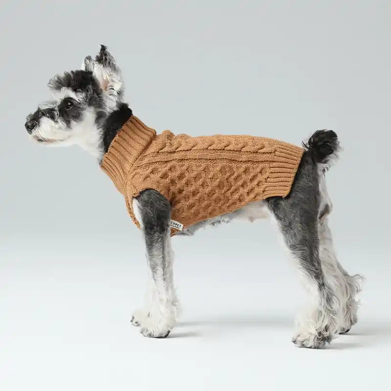 grey dog wearing a tan sweater - side view