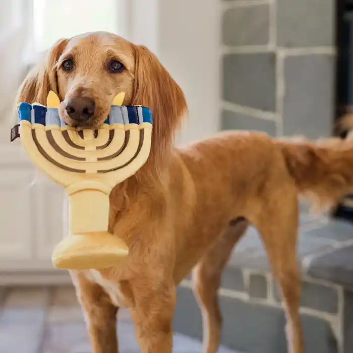 dog holding hanukkah menorah dog toy