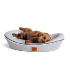 Brown dog lying on its back in a navy and white striped pet bed on a white background