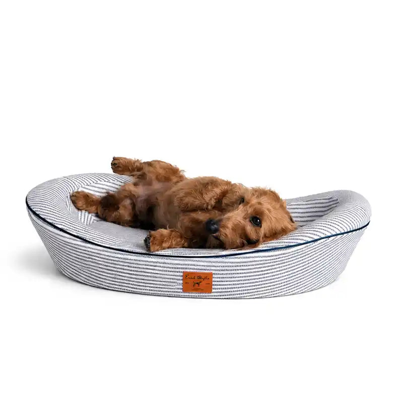 Brown dog lying on its back in a navy and white striped pet bed on a white background