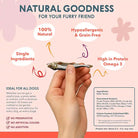 hand holding a dried sprat showing benefits