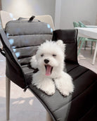 Small white dog yawning on everywhere convertible tote opened