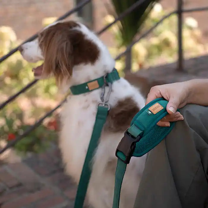 charlie's backyard town leash showing padded handle