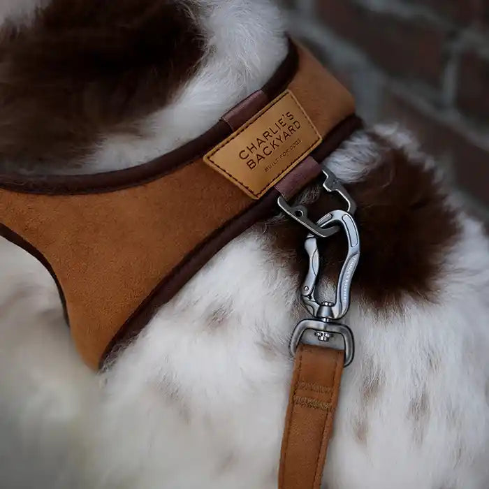 closeup of charlie's backyard town harness in brown