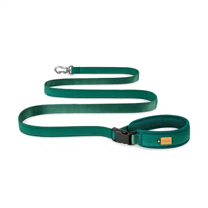 charlie's backyard town dog leash with padded handle in green