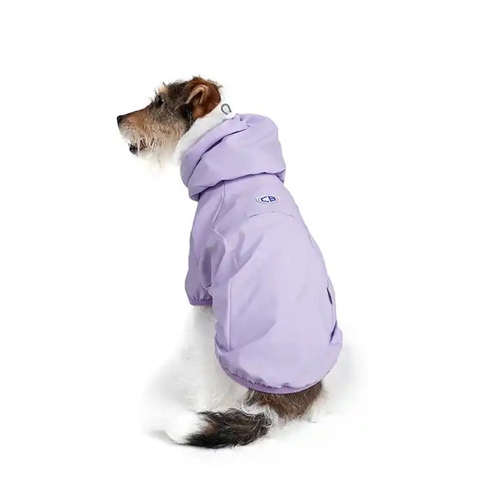 dog wearing lavender trek waterproof windbreaker dog jacket
