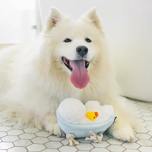 dog with duck in tub toy