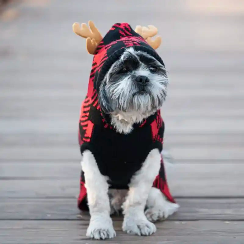 Moose Hoodie Styled on Shih Tzu