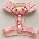 Pink dog harness with gold buckles on a light marble background