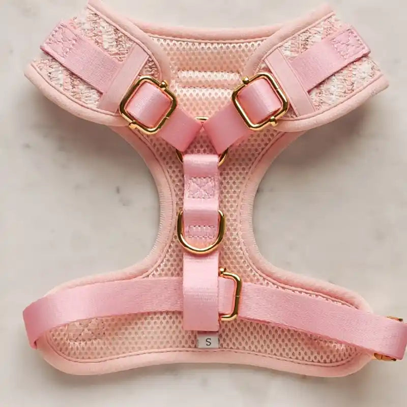 Pink dog harness with gold buckles on a light marble background