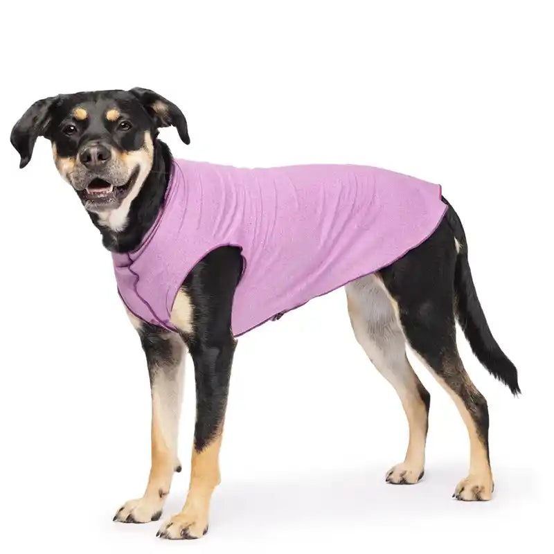 violet purple sunshield dog tee