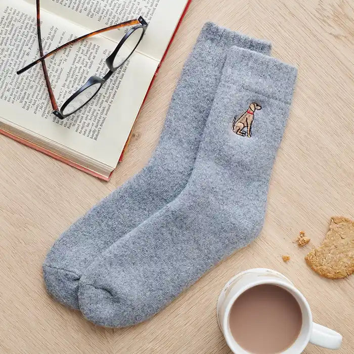 vizsla dog walking socks