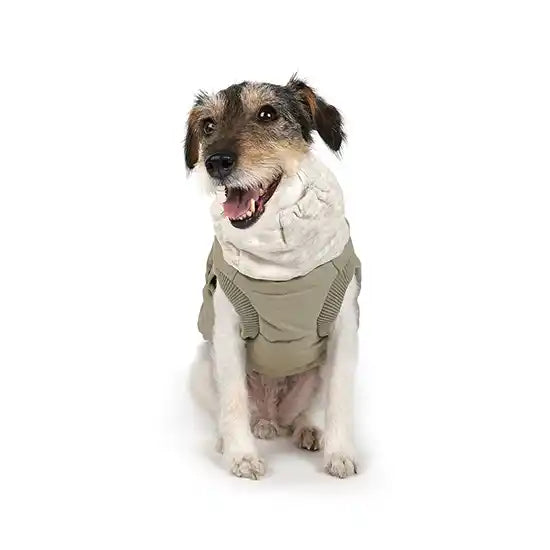 khaki warm up harness dog jacket front view