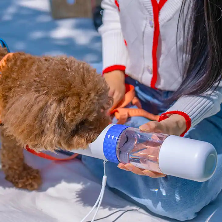 chic hand held dog water bottle styled