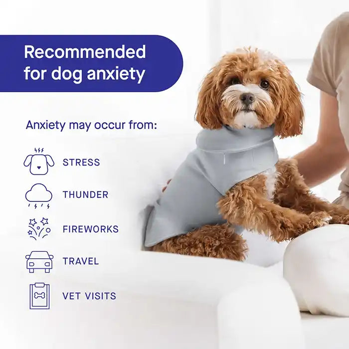 weighted calm recommended for dog anxiety