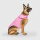 german shepherd wearing weighted calm vest