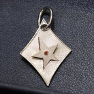 whisker link coordinating owner dog id tag