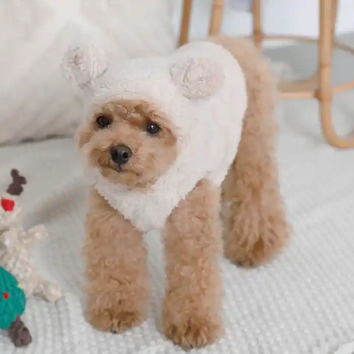 chihuahua wearing moncheri bear fleece hoodie in ivory