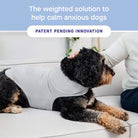 weighted calm is patent pending