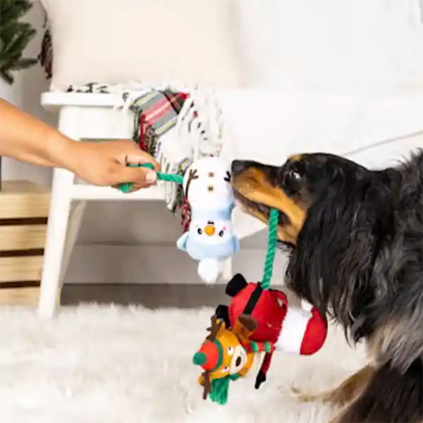 dog playing with Santa Snowman Reindeer plush dog toys on a rope