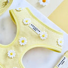 closeup of yellow daisy harness
