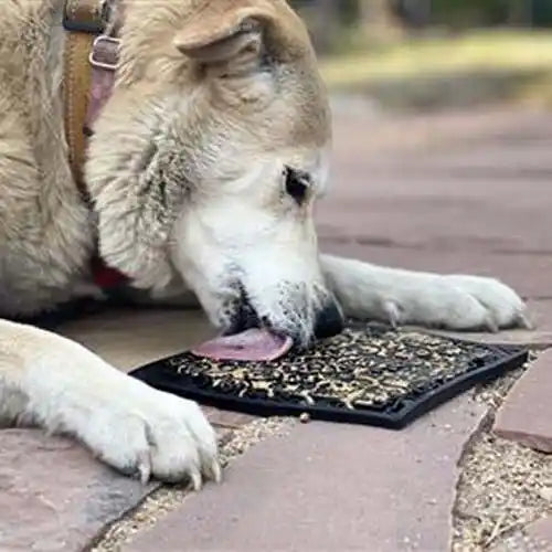 Dog Licking Zombie Design Enrichment Lick Mat 