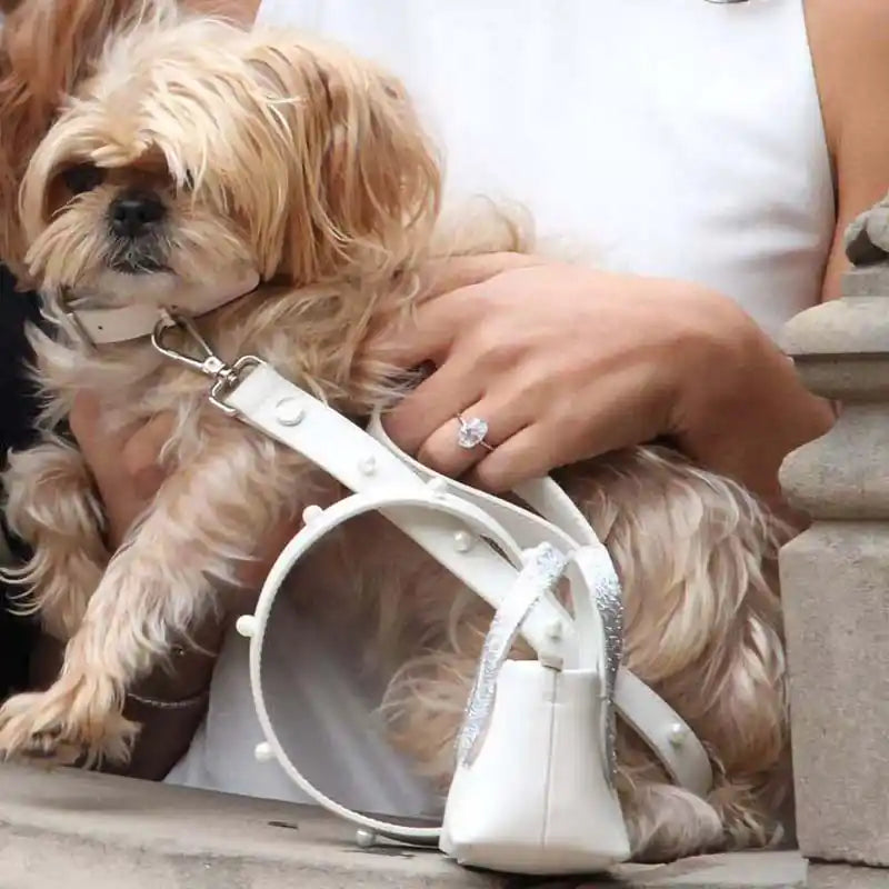 shaya essi pearl wedding dog leash styled