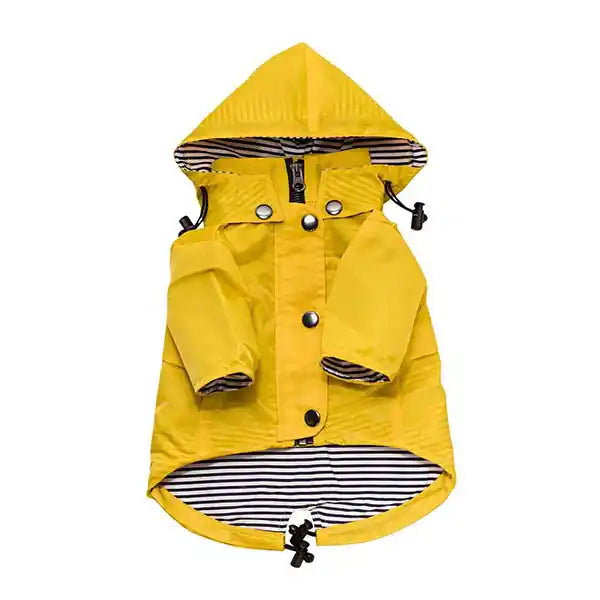 yellow dog raincoat