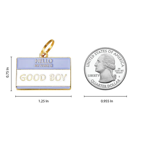 two tails 'hello my name is good boy' dog id tag