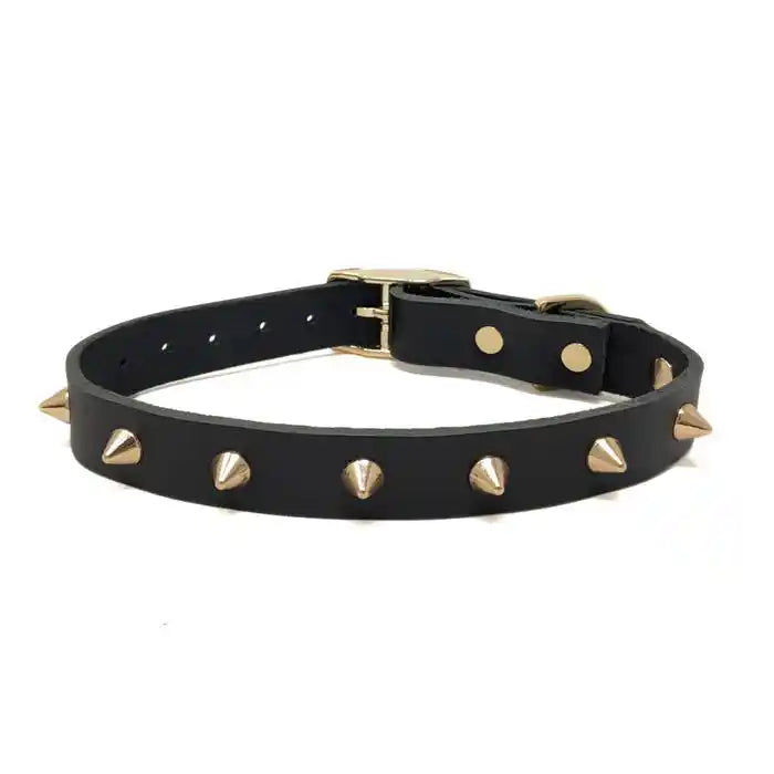 nice digs smooth spike leather dog collar - gold noir