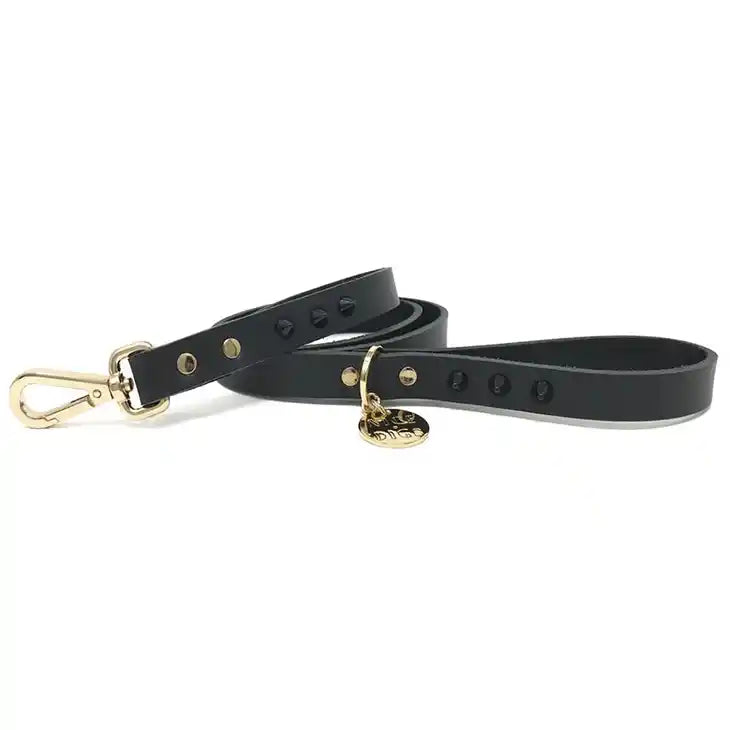 nice digs smooth spike leather dog leash - black noir