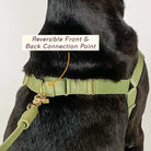 awoo roam no-pull / pull dog harness