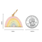 rainbow pet id tag