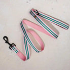 saint rue le classic leash - la rose