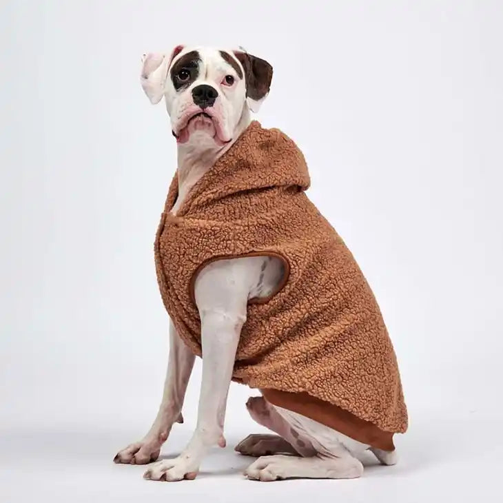 spark paws Teddy Sherpa Dog Jacket in rust styled