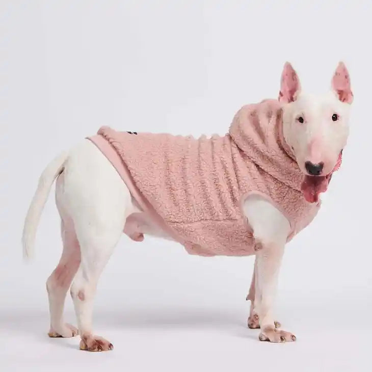 Dog in a Teddy Sherpa Dog Jacket in pink Blush styled