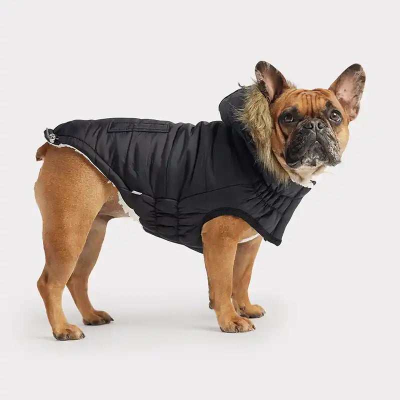 hooded dog parka with fur trim