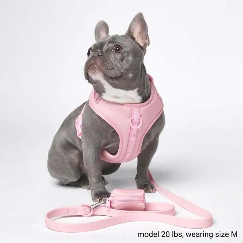 spark paws athleisure cushioned dog harness styled