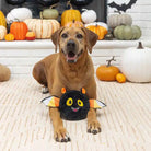 durable bat dog toy styled