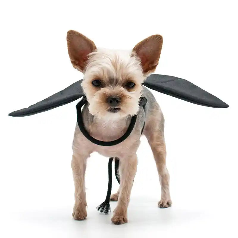 DOGO bat wings pet costume