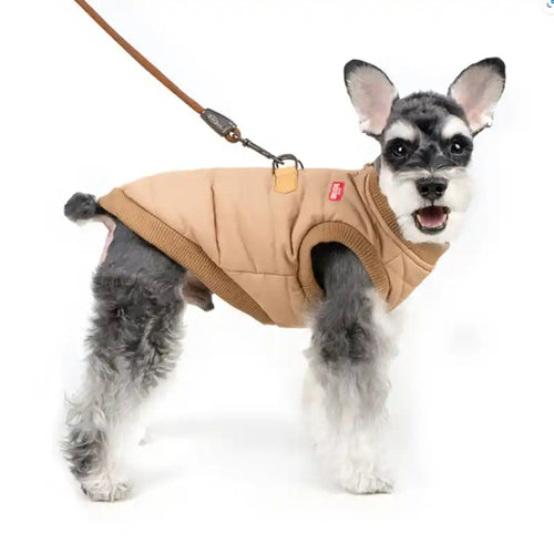 schnauzer modeling charlie's backyard padded harness jacket in Beige