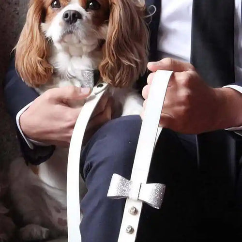 shaya ben wedding leash with dog
