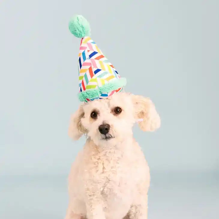 birthday hat plush dog toy styled