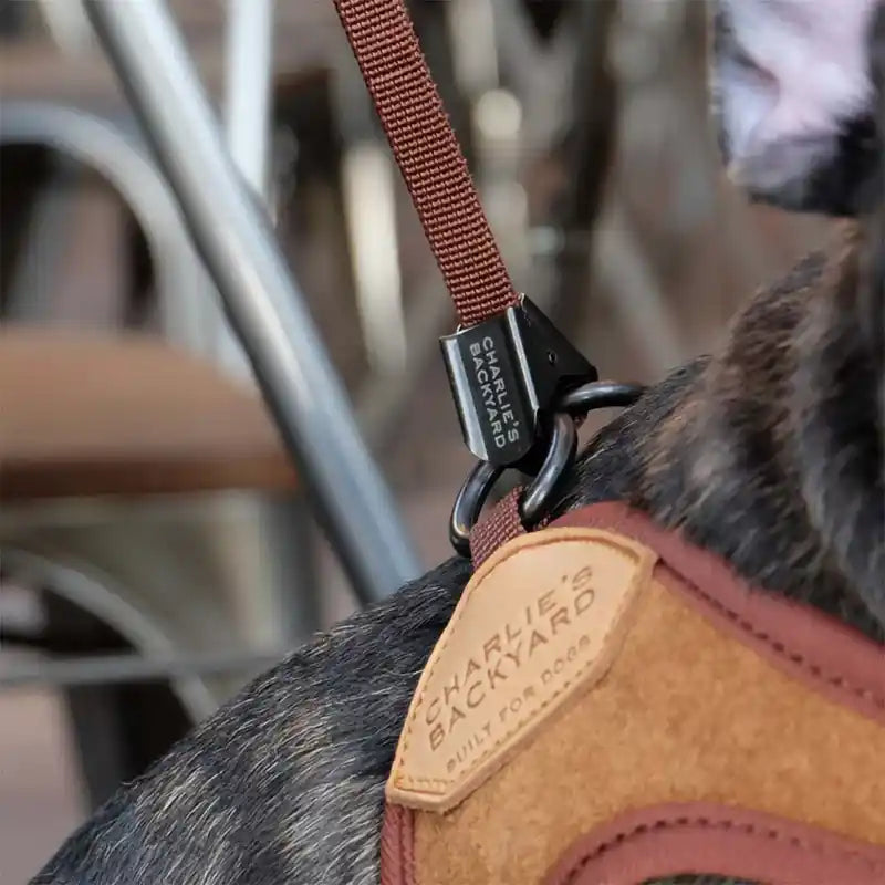 charlie's backyard adjustable easy dog harness closeup
