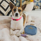 pink papyrus bff poop bag dispenser with puppy