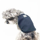 cc chanel pet tank top